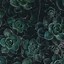 Image result for Green Aesthetic 1080X1080