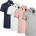 Image result for Polo T-Shirt Colours