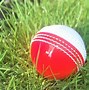 Image result for Cricket Ball in the Air