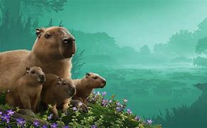 Image result for Planet Zoo Wetlands Pack