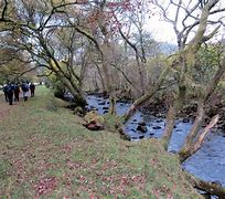 Image result for Afon Tawe