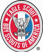 Image result for boy scouts logo