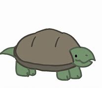 Image result for 25 Turtle WoW