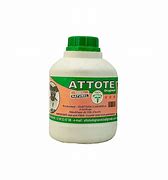 Image result for atote