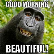 Image result for Funny Good Morning Beautiful Meme