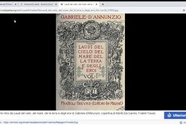 Image result for alcionii