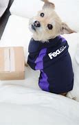 Image result for FedEx Dog