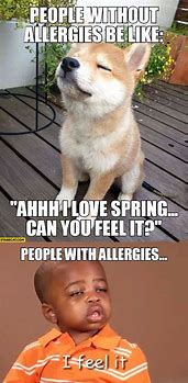 Image result for Allergic Reaction Meme