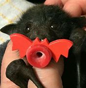 Image result for Bat Pup Hood