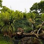 Image result for Chester Zoo Animals List