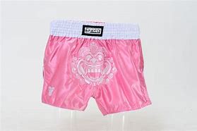 Image result for Muay Thai Combos