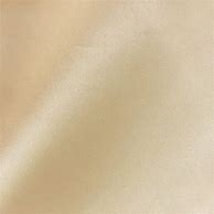 Image result for Champagne Color Fabric