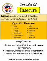 Image result for Insecure Term
