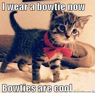 Image result for Cat with Bow Tie Meme