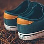 Image result for Adidas SB Shoes