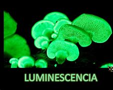 Image result for fotoluminoscencia