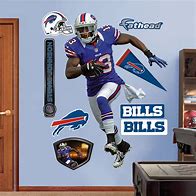 Image result for NFL Fatheads
