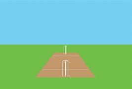 Image result for Cricket Grounf Animation