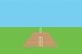 Image result for Cricket Playing Field