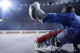Image result for Hockey Player Goalie