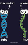 Image result for Meme On DNA Replication and RNA Polymerase