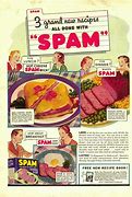 Image result for Spam Funny