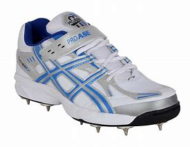 Image result for Spike Shoes for Cricket