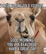 Image result for Have a Great Day Animal Meme