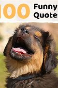 Image result for Jokes Funny Quotes and Sayings