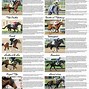 Image result for Printable Kentucky Derby Field