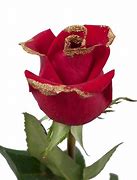 Image result for Red and Gold Rose Background Sparkle