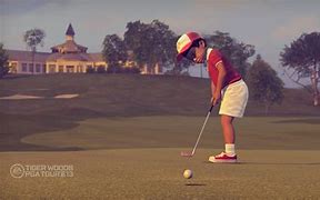 Image result for Tiger Woods PGA Tour 13 Avatar Cover