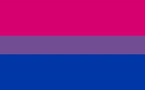 Image result for bisexual