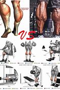 Image result for How to Build Calf Muscles