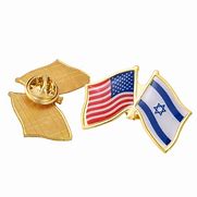 Image result for America Israel Flag Pin