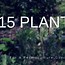 Image result for Permaculture Garden Plants