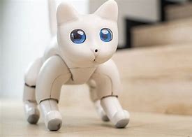 Image result for Robot Feline