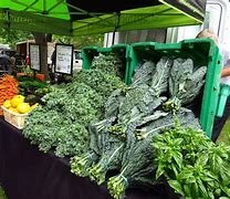 Image result for Organic Farmers Market