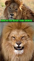 Image result for Lion Word Count Meme