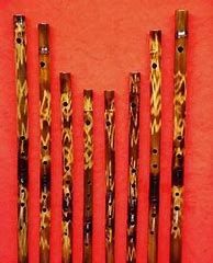 Image result for Flutes for Beginners