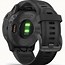 Image result for Garmin Fenix 6s Sapphire Carbon Cord