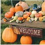 Image result for Pumpkin Patch Picking