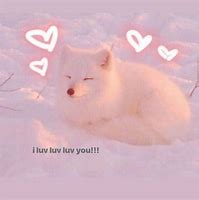 Image result for Pink Love Meme