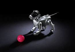 Image result for Aibo H