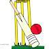 Image result for Cricket Cartoon Art