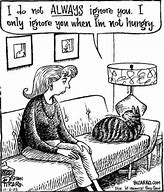 Image result for Animals Getting Ignored Cartoon