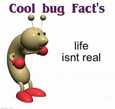 Image result for Your as Cute as a Bug Meme