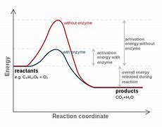 Image result for Activation Energy Error