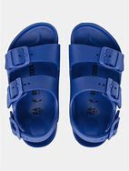 Image result for Birkenstock 2 Strap Sandals