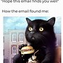 Image result for Hope This Email Finds You Well Meme